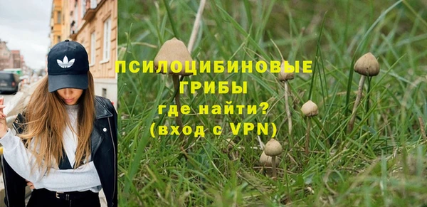 хмурый Алзамай