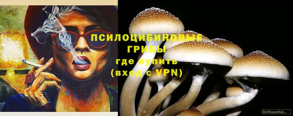спиды Алексеевка