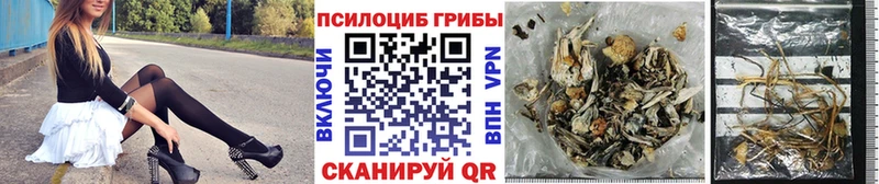 Псилоцибиновые грибы мухоморы  цена   Кологрив 