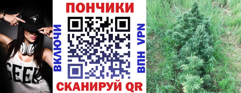где найти наркотики  Кологрив  Конопля индика 